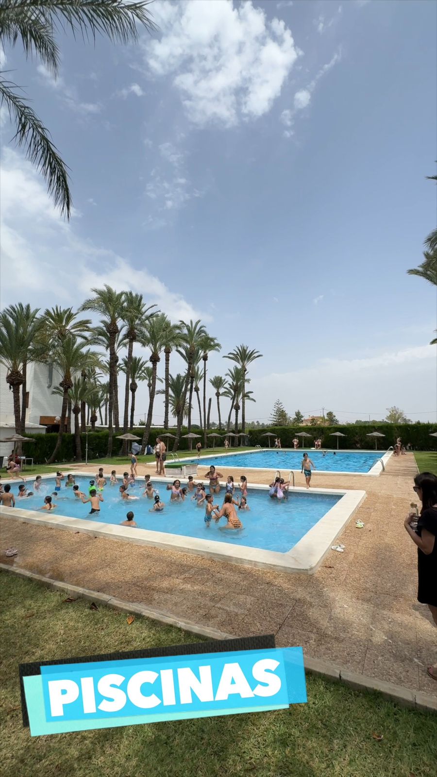 Las dos piscinas del recinto: la infantil en primer plano, llena de niños, y la de adultos al fondo entre palmeras