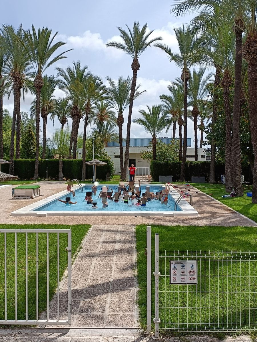 Grupo de escolares bañándose en la piscina, rodeada de césped y palmeras